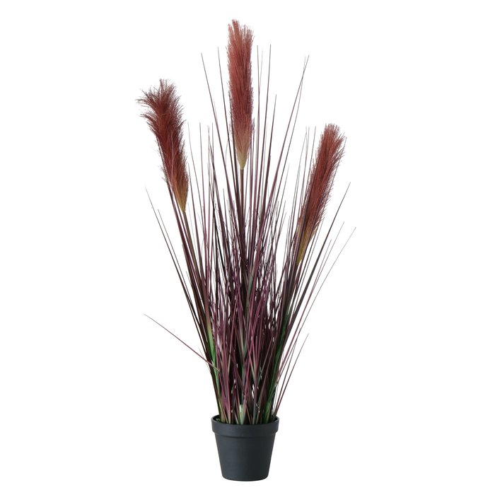 2006069 Plant in pot_dísznövény ,Bristle Millet M78 cm